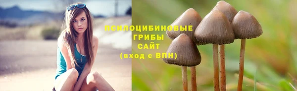 MESCALINE Михайлов