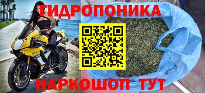 ПСИЛОЦИБИНОВЫЕ ГРИБЫ Заволжье