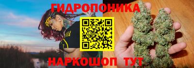 PSILOCYBIN Жуковский