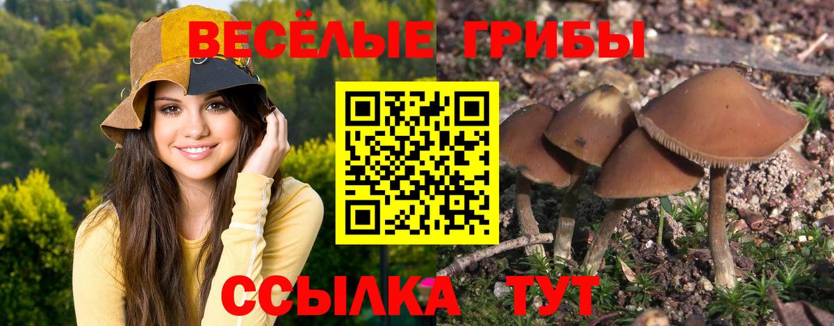 Галлюциногенные грибы Psilocybine cubensis  Ярцево  Псилоцибиновые грибы мухоморы 