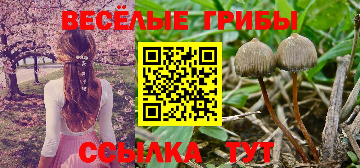 Ярцево  Псилоцибиновые грибы GOLDEN TEACHER  Вход с VPN 
